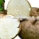 Pueraria Mirifica Big Breast Massage Oil thumbnail-3