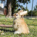 Easter Bunny Taxidermy Figurine Plush Decor Cabin Brown Tan Rabbit thumbnail-1