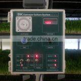 BK Conveyor Culture thumbnail-6