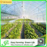 Polycarbonate Commercial Greenhouse thumbnail-2