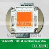 Full Spectrum Cob Led Led Grow Light Source,30w Cob Led Epistar Chip