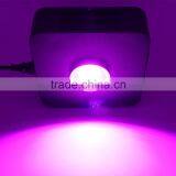 90W Full Spectrum COB Led Grow Light Panel Lamp Indoor Flower Veg Plant Yard Garden thumbnail-5