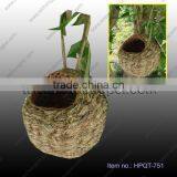 New Design Nest Bird Home Hourse Grass Bird Nest thumbnail-1