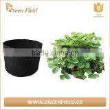 New 2017 Wholesale Felt Fabric Garden Grow Bags 3 Gallon Felt Large Plant Pots thumbnail-5