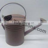 Water Cane Antique Metal For Garden | Cheap Matel Canes thumbnail-5