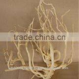 Root Aquariums & Accessories thumbnail-1