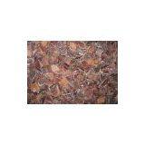 IQF Frozen Black Fungus thumbnail-1