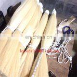 Ebay Horse tail hairs / horsetail hairs / horse hairs