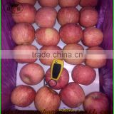 Professional Fruit Supplier Fresh Red Delicious Apple:75 mm up