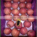 Professional Fruit Supplier Fresh Red Delicious Apple:75 mm up thumbnail-1