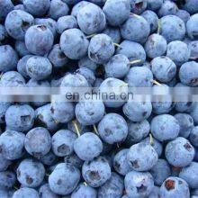 100kg/h Small Scale Stainless Steel 304 Iqf Belt Tunnel Meat Freezer thumbnail-5