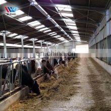 Australian WZH Prefabricated Steel Structure Closed Type Poultry Farm House Cow Sheds for Sale thumbnail-5