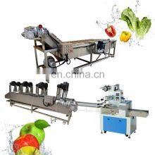 Prickly Pear Washing Machine Fruits Washing and Cleaning Machine