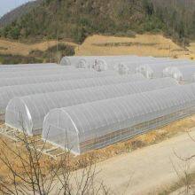 Tunnel Greenhouse thumbnail-2