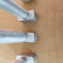 Customized T Head Bolt Material Grade 4.8 Hot Dipped Galvanized thumbnail-2
