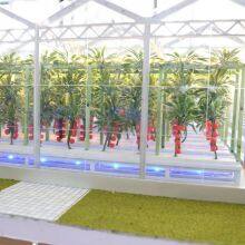 Agricultural Greenhouse Sand Table Model Manufacturer thumbnail-4