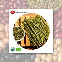 Organic Bean Pasta