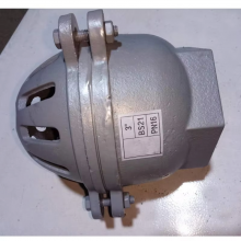 DN100 PN16 Ductile Iron Cast Iron Flange Foot Valve Pressure Filter Check Bottom Valve Foot Valve thumbnail-5