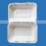 Paper Take Out Lunch Box