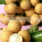 Canned Fresh Longan in Syrup - 30 oz Tin (850ml x 12 Tins) thumbnail-3