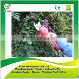 Garden Battery Powered Pruning Shears thumbnail-1