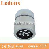 Led Oyster Ceiling Light