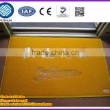 PVC anti slip mat/door mat/car mat/coil mat