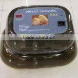 China Cheap Automatic Digital Egg Incubator