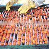 Jujube Production Line/Chinese Dates Processing Line/Date Palm Process Line