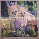 Home Decorative Photo Printing Pillow Cushion Cover thumbnail-5