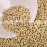 Chinese Non Gmo New Crop Roasted Buckwheat Kernel for Georgia Wholesale thumbnail-3