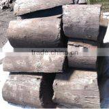 Best Lump Wood Charcoal From Vietnam 2016 thumbnail-3