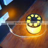 High Power Rope Light Chips Outdoor Decorate, Waterproof Flexible Rope Light for Christmas thumbnail-1