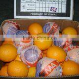 Sell Orange thumbnail-1