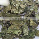 Mulberry Leaf Natural Herbal Tea thumbnail-4