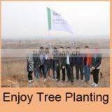 Songs United (Dalian) Trading Co., Ltd. company overview - view 1 thumbnail