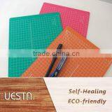 Ecological Workshop Classroom Home Products thumbnail-2