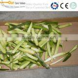 Hot Sale Eggplant Strip Machine