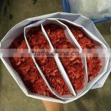 High Quality Fresh Carnation Florist Suppliers From Website thumbnail-1