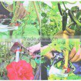 ILot Agriculture Tape Tool Hand Tying Machine for Fruit Vegetable Vine Tomato Metal thumbnail-3