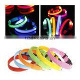 LED Dog Collars thumbnail-3