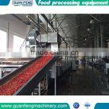 China Supplier High Quality Fruit Dryer Equipment thumbnail-3