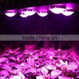 2016 Best Sell 360W COB Full Spectrum LED Grow Light With Innovated Chips thumbnail-6