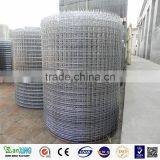 Welded Wire Mesh/galvanized Welded Mesh/Plaster Welded Wire Mesh thumbnail-2