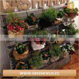 Green Field Washable Kraft Paper Storage Bag Waterproof Planter Bag thumbnail-5