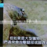 2017 Factory Cheap Strong Hongkong/Taiwan/Korea/Japan/Malaysia Live Steaming EVPAD Pro Bluetooth 1/16GB IPTV Android TV Box thumbnail-5