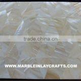 Shell Mop Gorgeous Tiles thumbnail-1