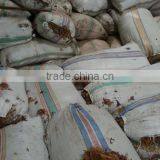 Eucheuma Spinosum With High Quality thumbnail-4