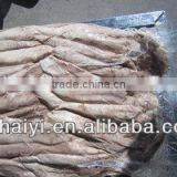 Precooked Bonito Loin 2013 thumbnail-1