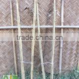 Make bamboo garden trellis for supporting the climbing plants